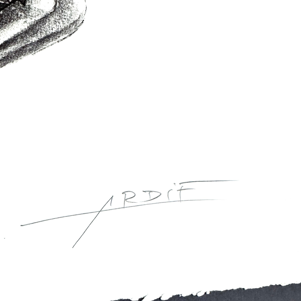 ARDIF - Artist´s Hand Mechanatomy (orange blanc) EA