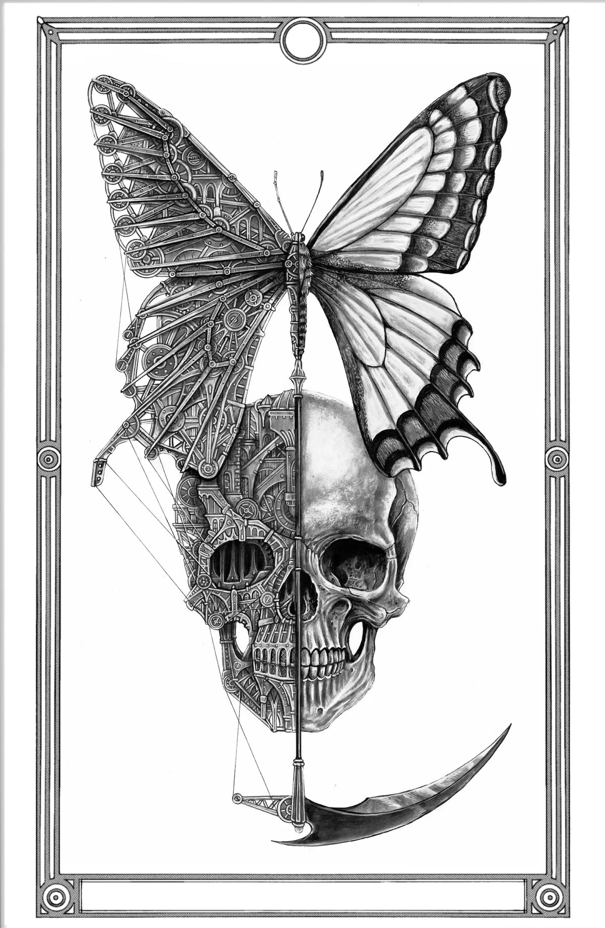 ARDIF Arcane_with_no_name_Butterfly