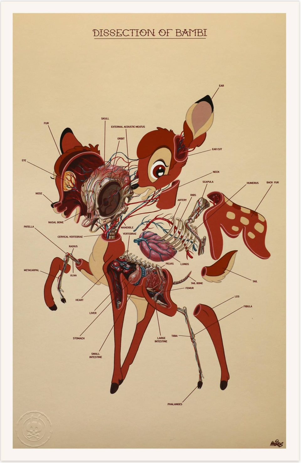 Nychos - Dissection de Bambi