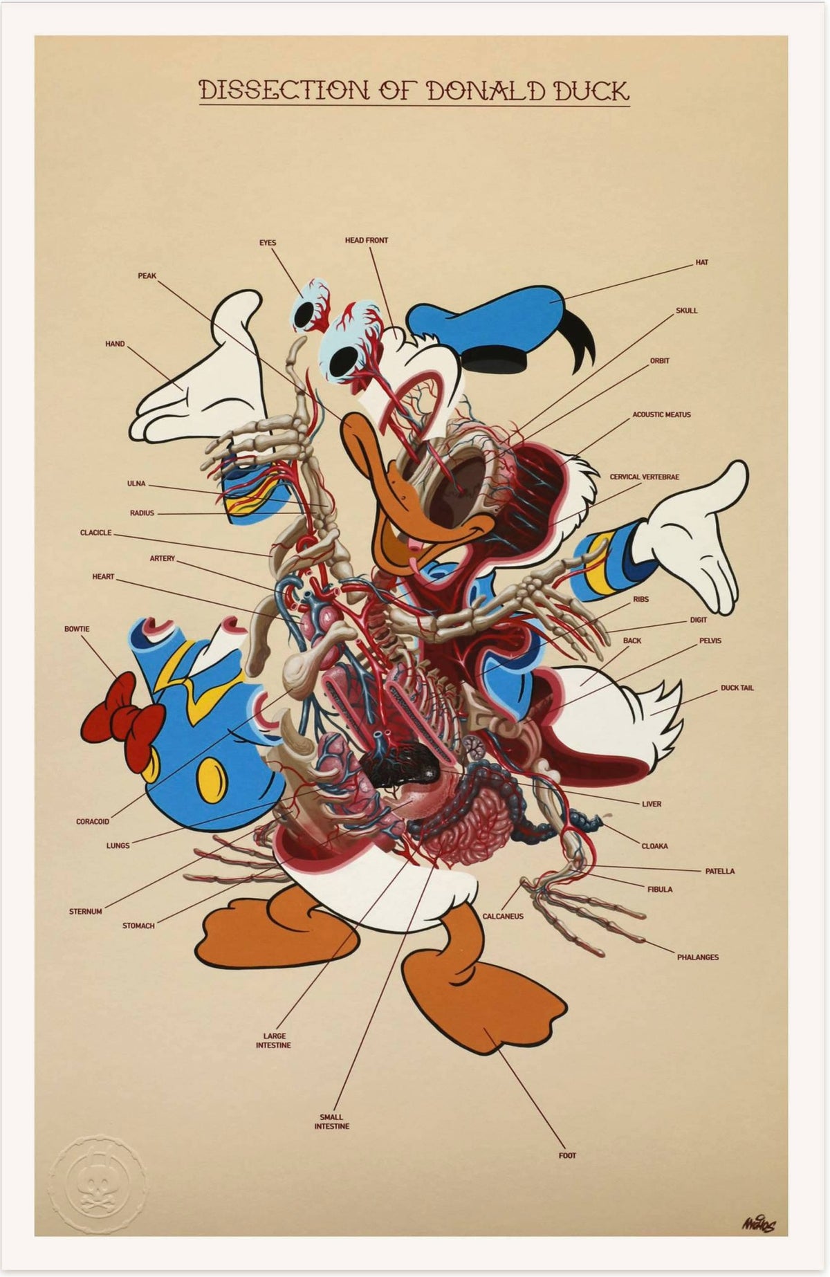 Nychos - Dissection of Donald
