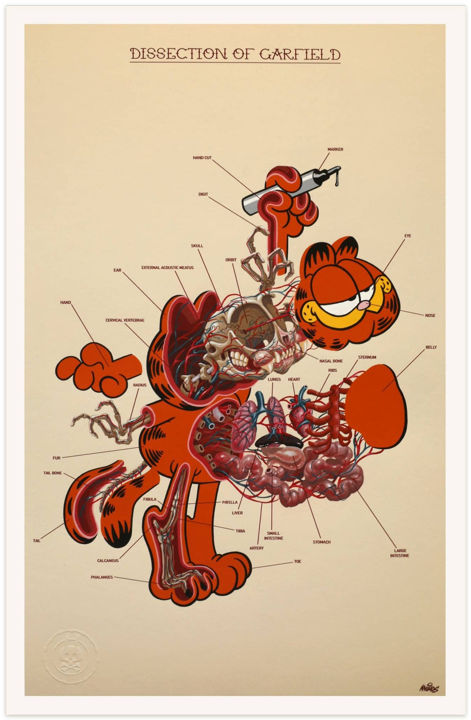 Nychos - Dissection de Garfield