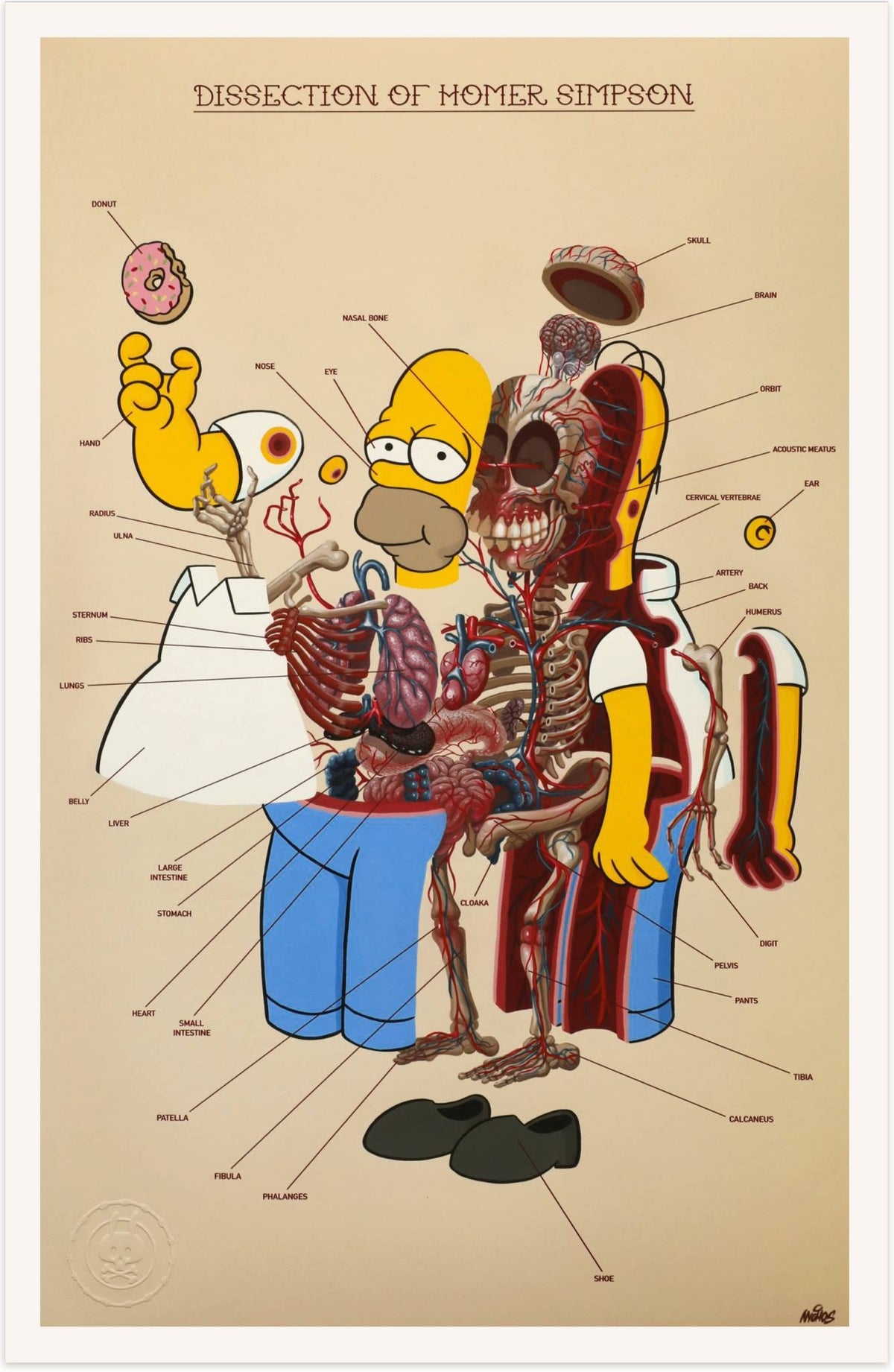 Nychos - Dissection de Homer Simpson
