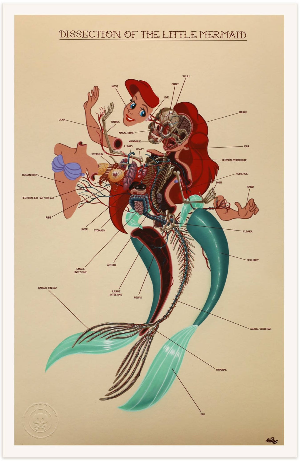Nychos - Dissection de La Petite Sirène