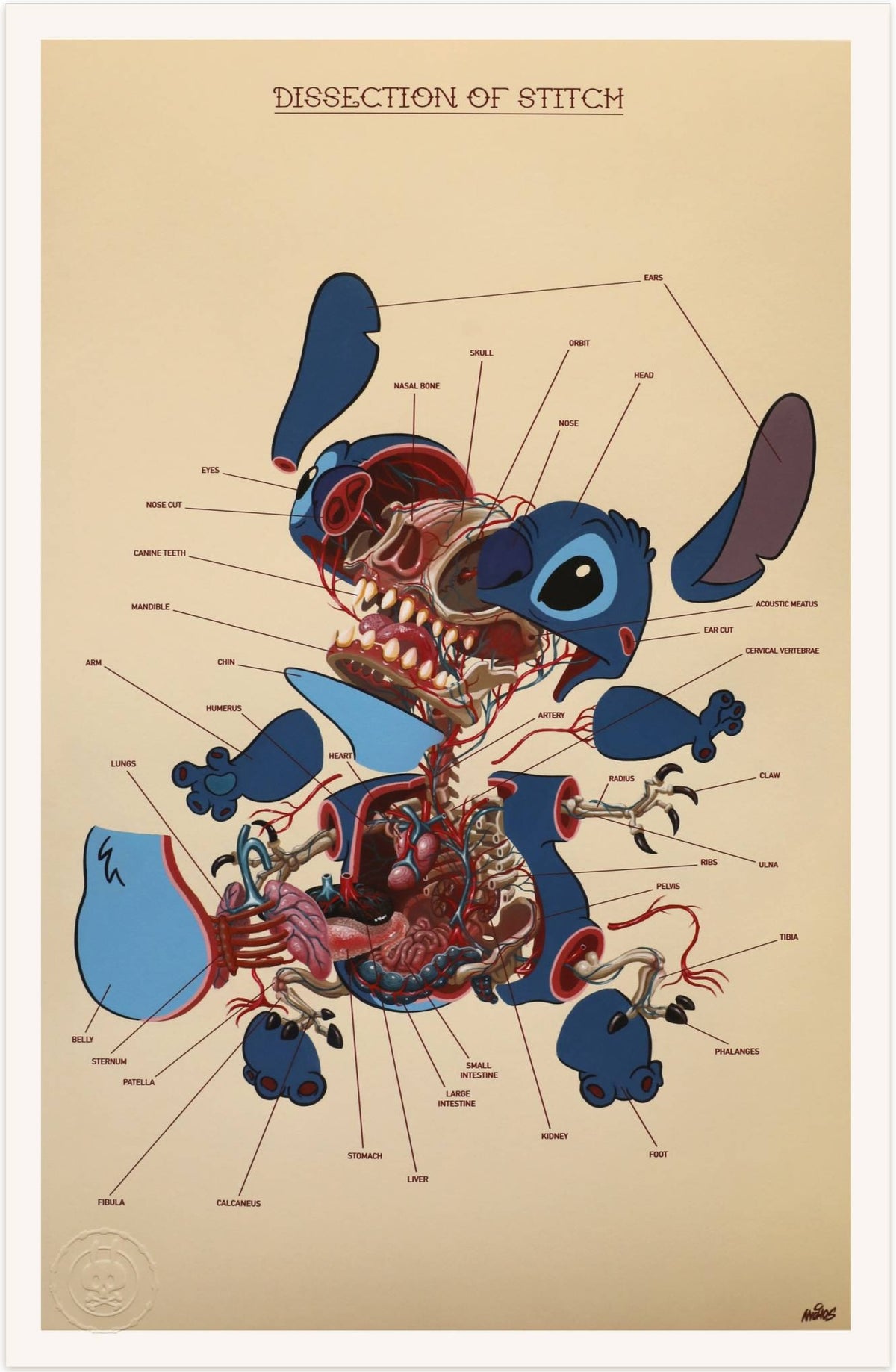 Nychos - Dissection de Stitch