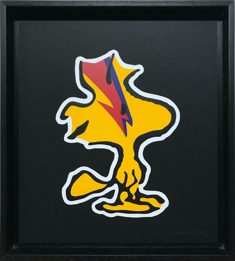 Flash