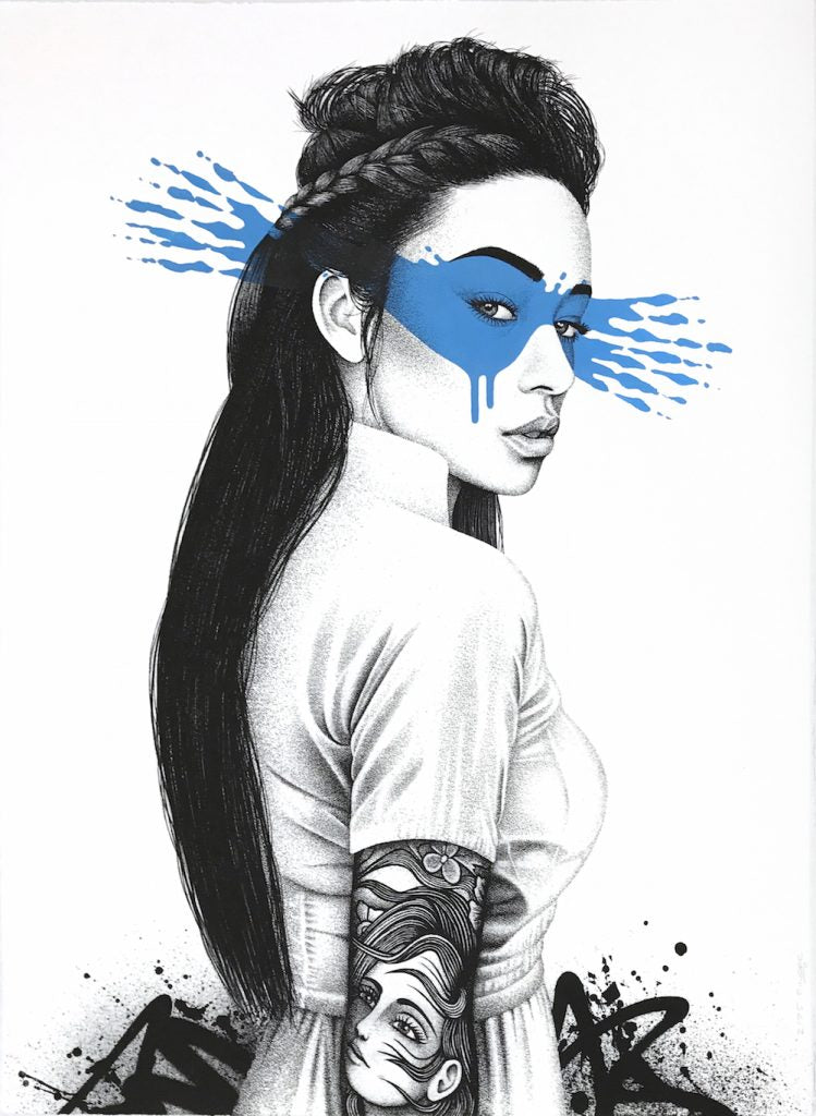 FinDAC - SHINOYA