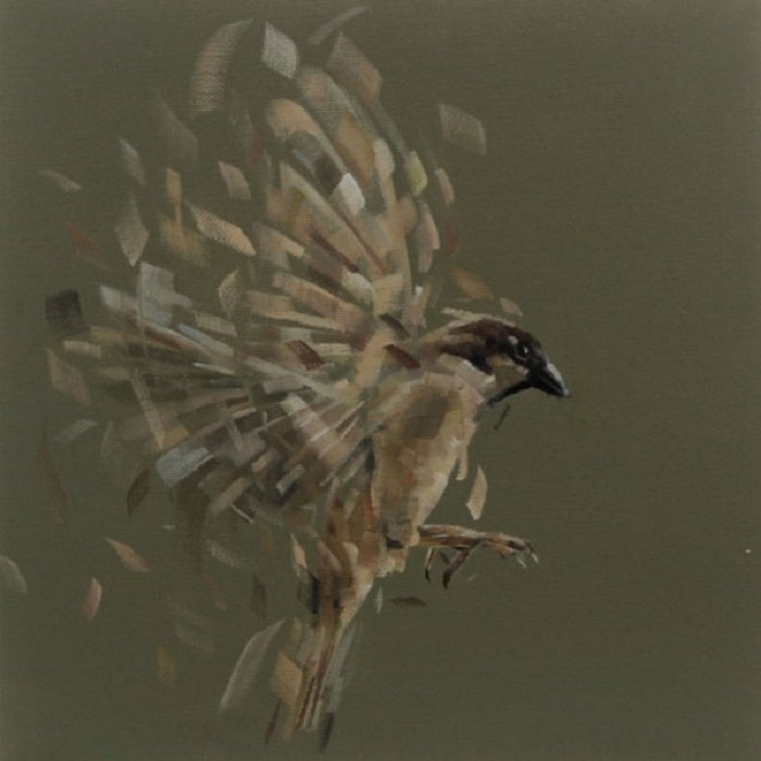 David Monllor - Fade into nothing