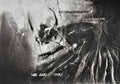 Guy Denning: The autohagiographist supervises