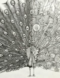 ARDIF - Peacock Mechanimal