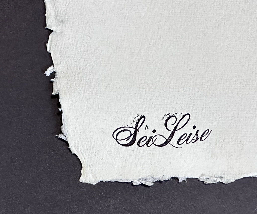 SeiLeise - Freedom Fighter