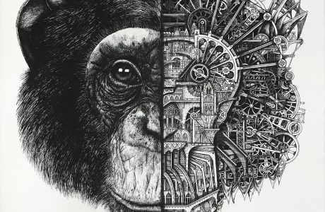 ARDIF - Chimpanzee mechanimal teaser - Pretty Portal